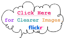 jhu-flickr-logo2